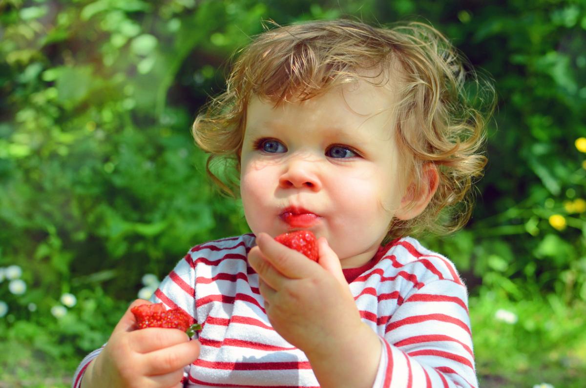 Strawberry Picking Seattle Farms for UPick ParentMap